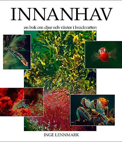 INNANHAV ISBN 978-91-633-2697-4