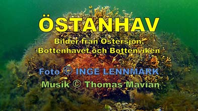 Östanhav titelbild SE